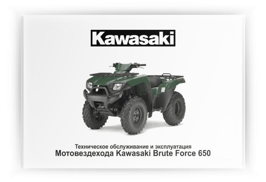 ���������� �� ���������� Kawasaki Brute Force 650