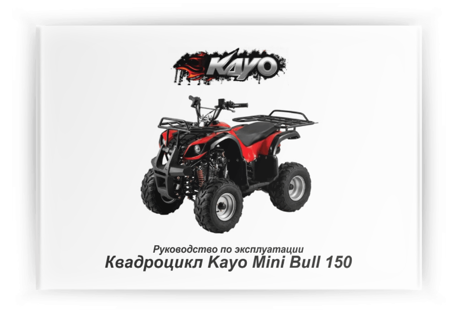 ���������� �� ���������� Kayo Mini Bull 150