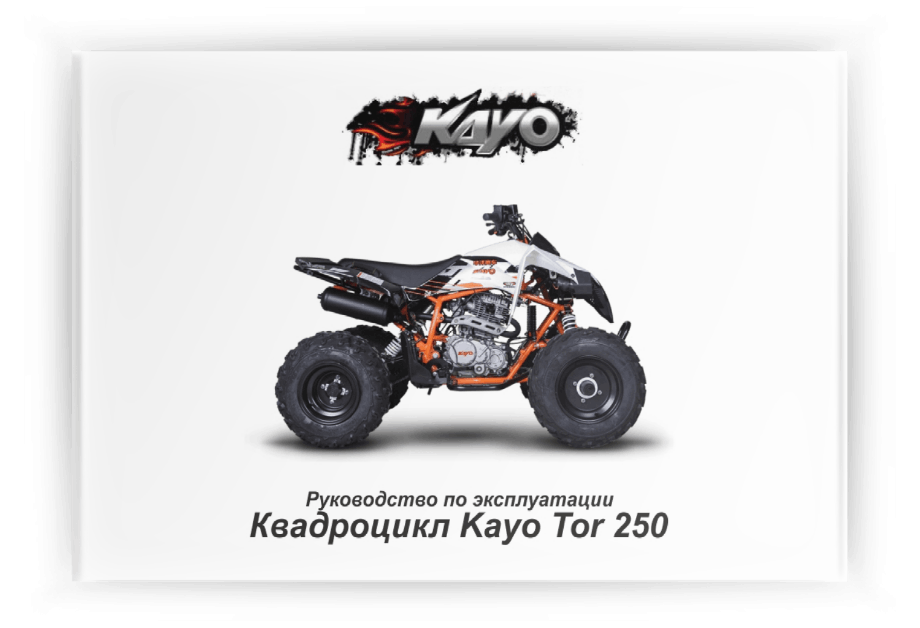 ���������� �� ���������� Kayo Tor 250