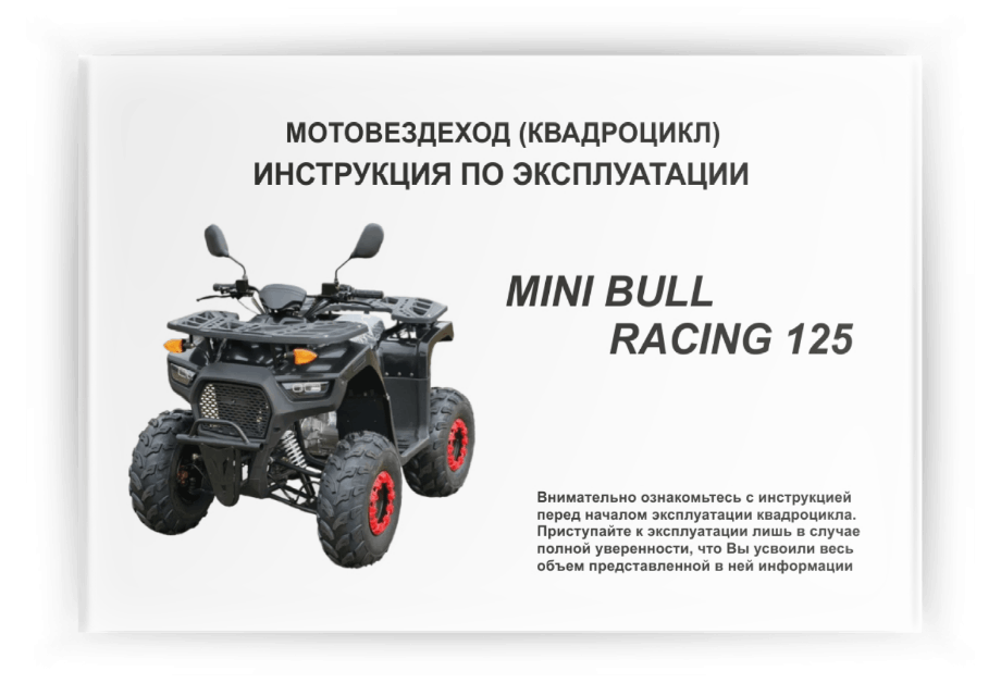 ���������� �� ���������� Mini Bull Racing 125